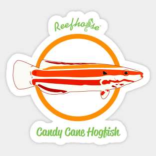 Candy Cane Hogfish Sticker